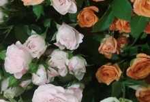 国庆节文案图片 2023国庆节朋友圈说说短句推荐-融党建互动平台