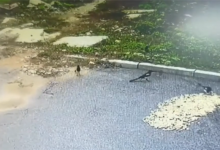 男子晒花生10分钟被鸟吃光 网友：自助餐来了-融党建互动平台