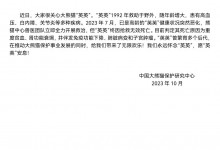 大熊猫“英英”去世 死因公布-融党建互动平台