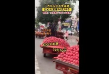 广西街头10元能买70个火龙果 当事人：很正常-融党建互动平台