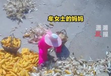 岳母来走亲戚结果连剥十几天玉米 网友：是心疼自家女儿-融党建互动平台