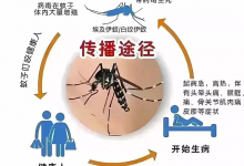 怎么判断自己得了登革热？登革热病是什么症状？-融党建互动平台