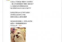 张韶涵的狗狗离开了 张韶涵发长文怀念陪伴自己15年的狗狗-融党建互动平台
