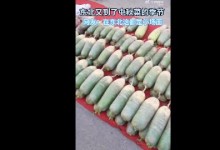 沉浸式围观东北传统囤秋菜 网友：东北人专属“入冬仪式”-融党建互动平台