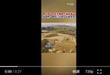 老人穿红衣进羊圈被羊顶撞身亡 涉事羊已被屠宰-融党建互动平台