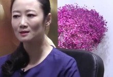 赵涛谈在东京电影节当评委：喜欢能够能给我惊喜的电影-融党建互动平台