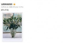 哈文悼念李咏去世五周年 李咏生什么病去世的？-融党建互动平台