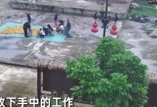 民警10分钟帮村民抢收2吨玉米 网友：真正的人民好警察-融党建互动平台