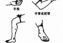 南京人行道上惊现2米长大蛇 民警擒获送往郊外放生-融党建互动平台