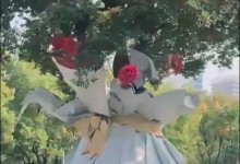 杭州参天大树被包装成巨型花束 网友：又被杭州浪漫到了-融党建互动平台