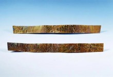 3000多年前长江白鲟被刻在金带上 白鲟资料照片-融党建互动平台