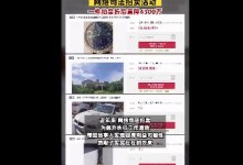法院双十一最高直降4300万：从奢侈品包到名车豪宅-融党建互动平台