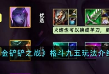 《金铲铲之战》S9.5格斗九五阵容搭配推荐 S9.5格斗九五怎么搭配-融党建互动平台