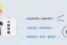 夫妻同床5年 发现丈夫染色体是女性 丈夫变“姐妹”-融党建互动平台