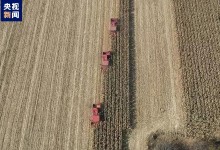 山西秋粮收获基本结束 旱地玉米单产创新高-融党建互动平台