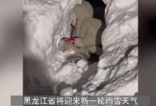 哈尔滨大妈雪地干洗呢子大衣：有人滑雪上班 有人开盲盒找车-融党建互动平台