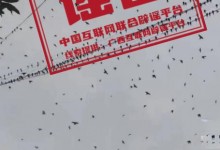 广西辟谣飞鸟盘旋是地震前兆：每年都存在这类现象-融党建互动平台