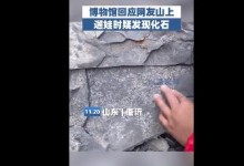 5岁男孩发现5亿年前古生物化石 网友：可能从此爱上考古-融党建互动平台
