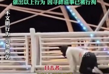 女子拿鞭引导男子跪地爬行双双被拘：戴头套 寻求刺激-融党建互动平台