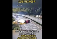近2万斤甲鱼散落高速过路司机伸援手 现场清理近5小时-融党建互动平台