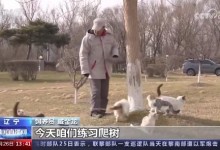 辽宁盘锦40多只猫咪组队守粮仓 网友：养猫千日，用猫一时-融党建互动平台