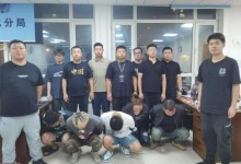 哈尔滨“宝妈”群13人被抓 涉案金额高达500余万元-融党建互动平台