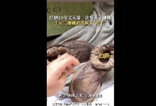 丈夫第一次刷鞋将千元靴变皮干 妻子：当时有点崩溃-融党建互动平台