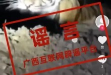 官方辟谣广西两地出现野生老虎：系网友吹嘘-融党建互动平台