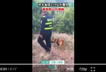 警犬找出7斤多鸦片被奖30斤狗粮 “安吉”：1斤鸦片换4斤狗粮 真值-融党建互动平台
