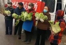 河南一地疑让老人寒风中捧白菜摆拍 回应：也是为了做好事-融党建互动平台