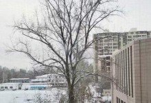 “鹅毛大雪”才是暴雪？其实不然！官方解释何为暴雪分哪些等级-融党建互动平台