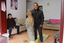 老人挖到近百斤“亚洲人参” 村民：没见过这么大的野生葛根-融党建互动平台