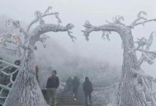 南方人终于向羽绒服低头了 广东加入看雪群聊 新一轮冷空气来袭-融党建互动平台