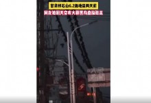 甘肃地震前后乌鸦成群？专家解读：没有必然关联-融党建互动平台