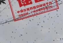 鸟群盘旋是地震前兆?多地辟谣：没有科学根据 动物异常不一定是地震前兆-融党建互动平台