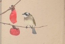 雪后鸟儿啄食红柿神还原国画 网友：诗情画意来自生活-融党建互动平台