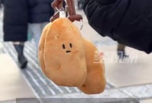 哈尔滨惊现小土豆挂件 南方小土豆是什么意思？-融党建互动平台