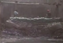 主播展示百万帝王绿翡翠手滑掉河里 网友：哗众取宠-融党建互动平台