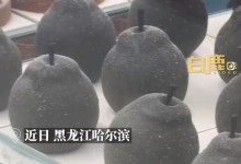 “冻梨蛋糕”横空出世：冻梨夹心 销售火爆-融党建互动平台