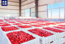 向尔滨的回礼引发全国特产大摸底 都藏了什么宝贝？-融党建互动平台