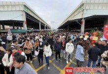 南宁蔓越莓免费发放 排队出现人从众-融党建互动平台