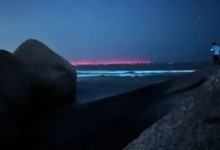 珠海一沙滩出现蓝眼泪奇观：如繁星坠落 神奇且浪漫-融党建互动平台