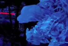 哈尔滨巨龙冰雕被游客掰掉牙齿 网友：不爱请别伤害-融党建互动平台