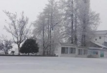 张家界迎来2024年首场大雪：皑皑白雪如一幅冬日雪景画-融党建互动平台