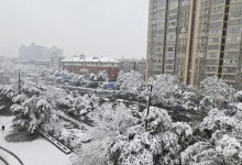 直击暴雪中的长沙：长沙一夜成雪国 全城被厚雪覆盖-融党建互动平台