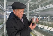 新春走基层·黄土地上的“大食物”丨一颗土豆的全产业链“革命”-融党建互动平台