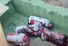 山东一臭水沟惊现8箱茅台 市场价值20多万-融党建互动平台