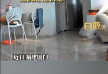 女子遇火情仅带三猫一狗跑下33楼 当事人：它们和家人一样-融党建互动平台