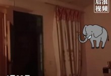 村民深夜熟睡被大象撞开卧室门 院子里一片狼藉-融党建互动平台