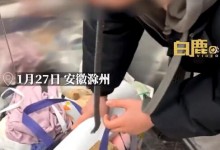 远嫁女子过年想回娘家被公公扇耳光：已决定回老家居住-融党建互动平台